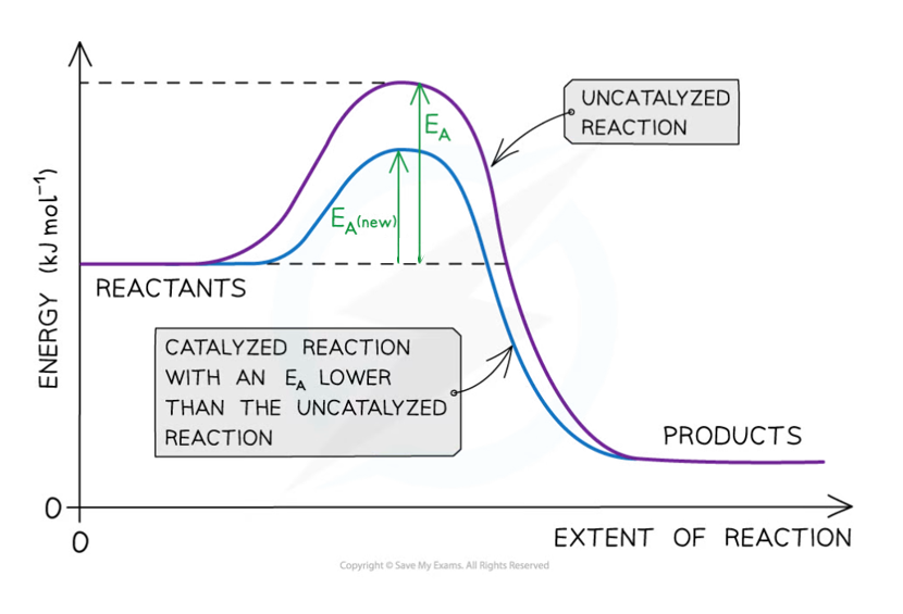 <p>substance increasing the rate of reaction by lowering activation energy but is unchanged at the end of the reaction</p>