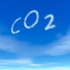 <p>carbon dioxide</p>