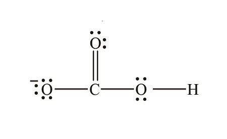 <p>HCO3^-1</p>