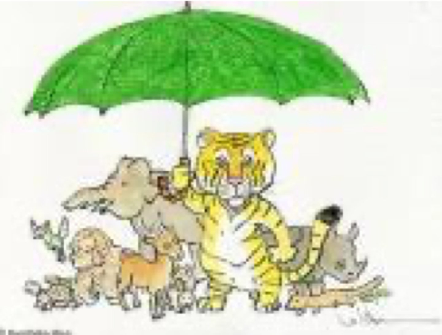 <p>A species whose protection indirectly protects many others in its ecosystem.</p>