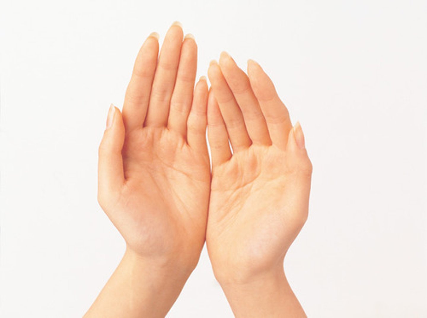 <p>hand</p>