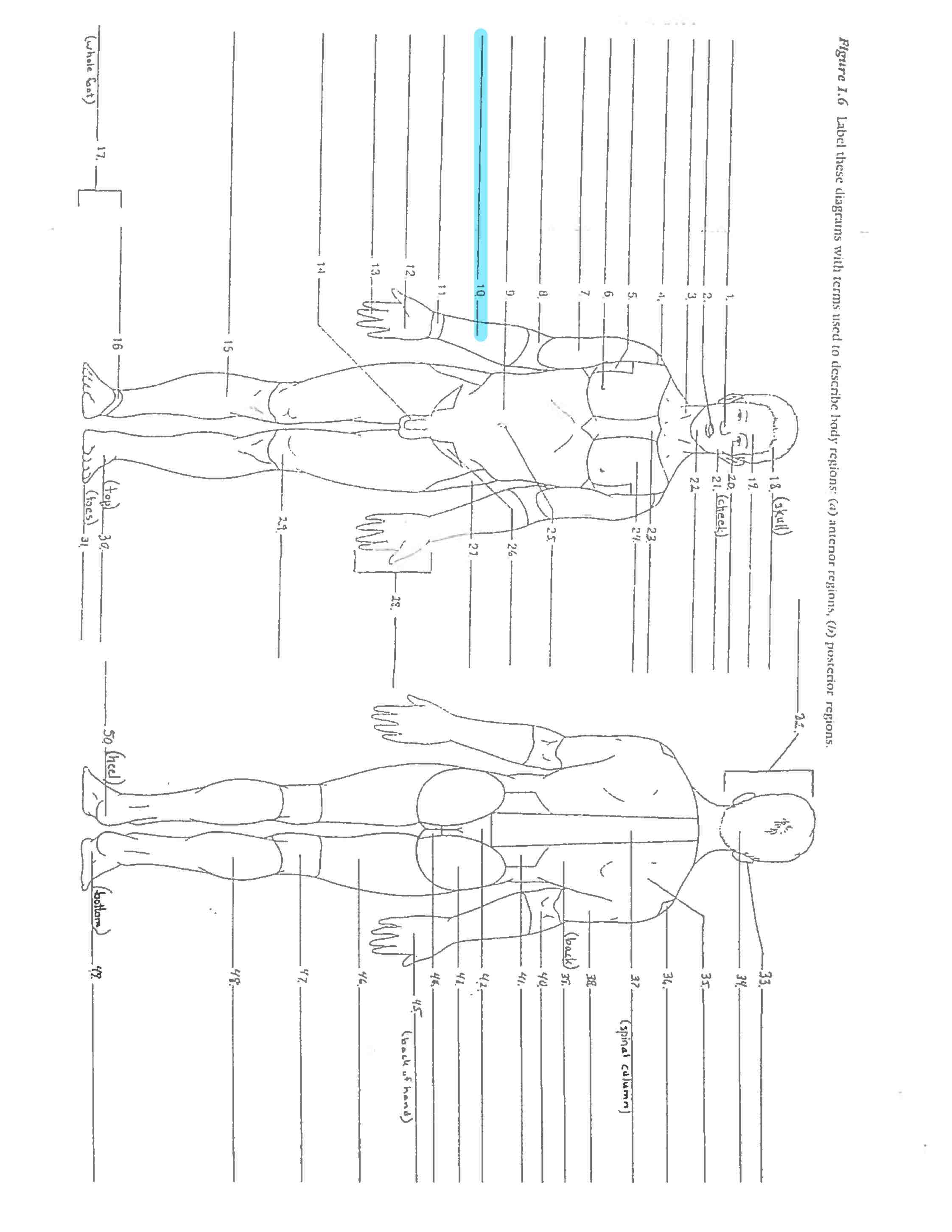 <p>Line 10 </p>