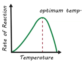 <p>Optimum Temperature</p>