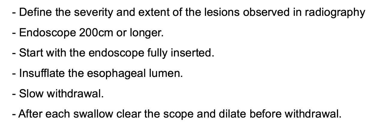 <p>Start all the way down in the stomach and look cranially </p>