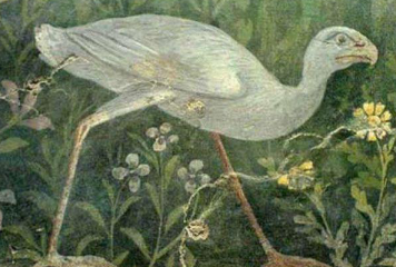 <ul><li><p>Roman Arts</p></li><li><p>Notable Roman Wall Paintings</p></li><li><p>This painting ‘___’ roaming freely in one of the gardens along Sarno river and looks astonishing with lush green surroundings, painted in serene colors of green, white and shades of yellow.</p></li></ul><p></p>