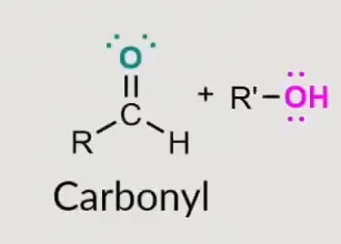 <p>What does this form?</p>
