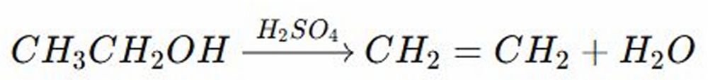 <p>REACTIONS OF ALCOHOL:</p><ul><li><p>The acid (sulfuric acid) protonates (add proton) the (-OH) group making it a good leaving group </p></li></ul><ul><li><p>The beta hydrogen from the adjacent carbon (neighboring carbon) is removed forming a double bond (alkene C=C)</p></li></ul><p></p>