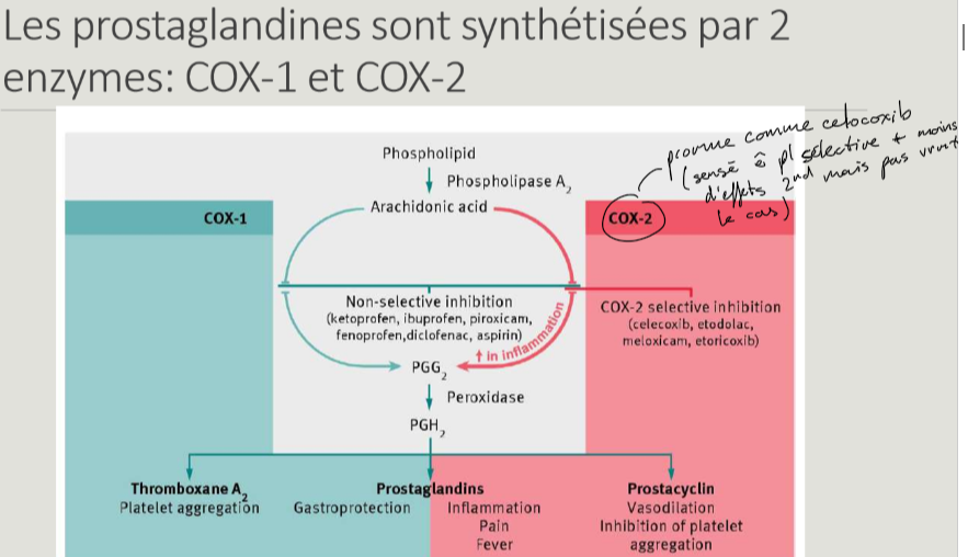 <p>Risque accru de thromboses. → risques cardiovasculaire</p><ul><li><p>diminution de prostacycline ayant rôle anti-agrégant → augm de thrombose</p></li></ul><p></p>