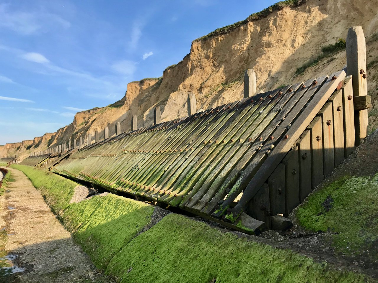 <p><strong>Hard engineering method</strong></p><p>Sloping wooden/concrete fence with open plank structure</p><ul><li><p><span style="color: green">Work to break force of waves</span></p></li><li><p><span style="color: green">Traps beach material behind them</span></p></li><li><p><span style="color: green">Set at base of cliffs/in front of sea wall</span></p></li><li><p><span style="color: green">Cheaper than sea walls but not as effective</span></p></li><li><p><span style="color: red">Ineffective in stormy conditions</span></p></li><li><p><span style="color: red">Can make beach inaccessible for people</span></p></li><li><p><span style="color: red">Regular maintenance is necessary</span></p></li><li><p><span style="color: red">Visually unattractive</span></p></li></ul>