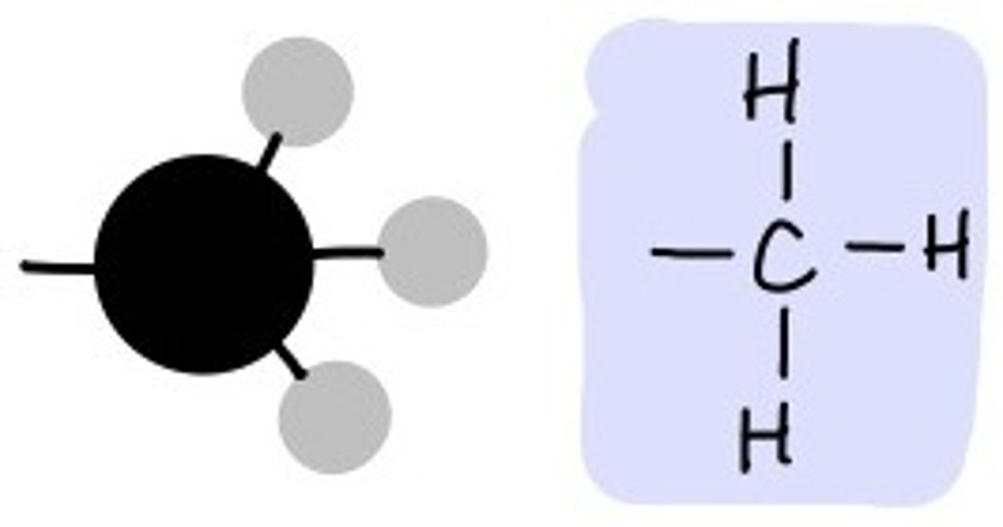 <p>Methyl Group</p>