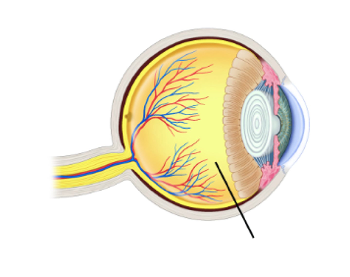 <p>What fills this space?</p>