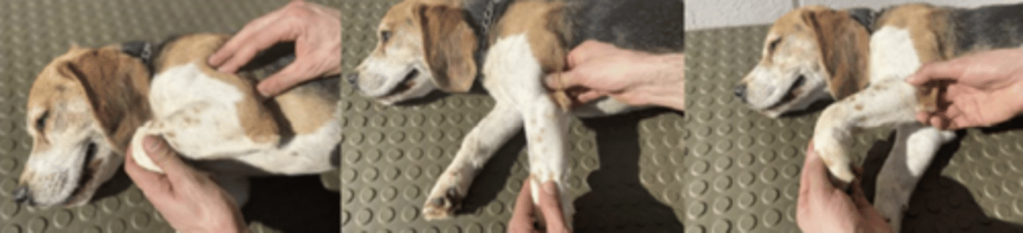 <p>what is happening here ?</p>