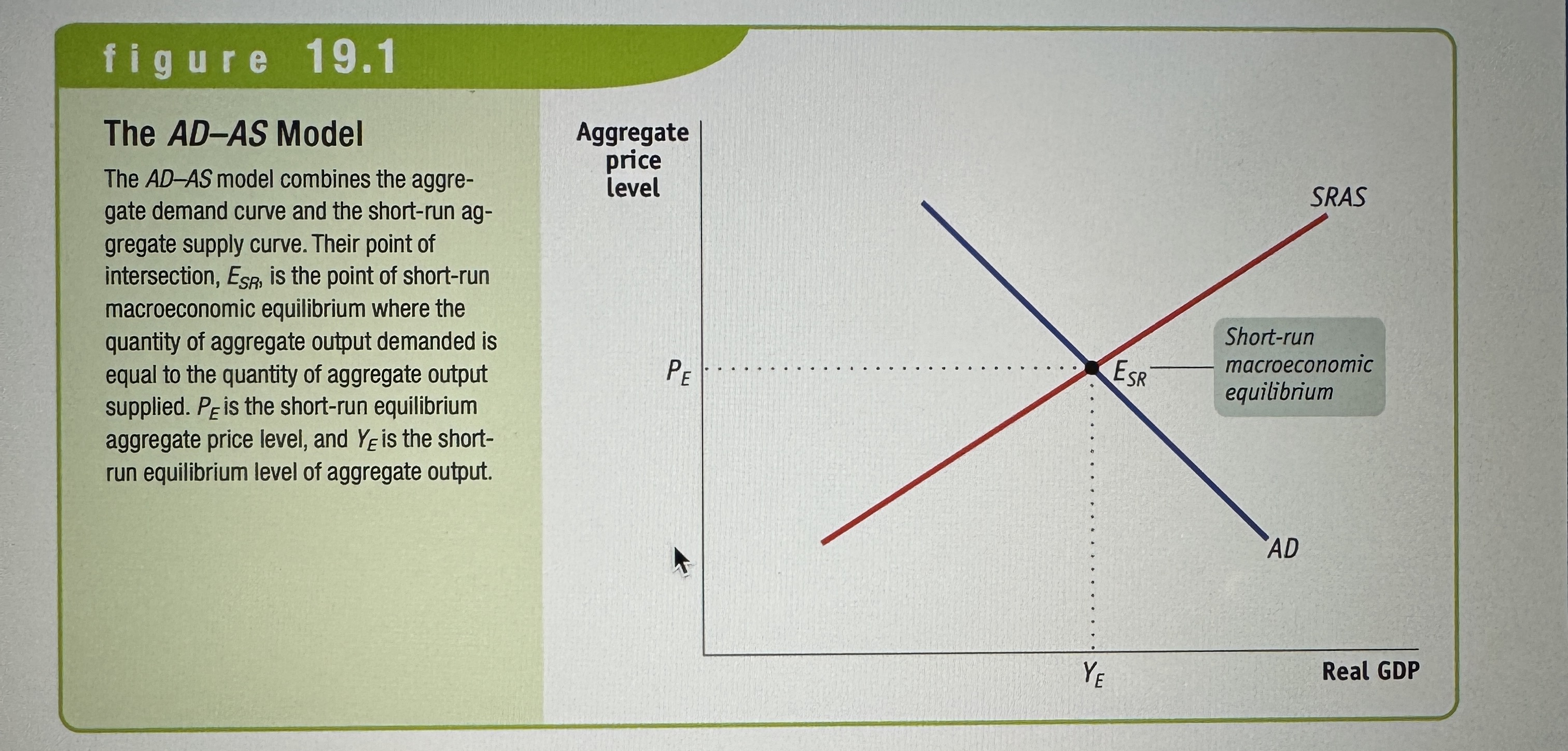 <p>In the <strong>AD-AS model</strong>, the aggregate supply curve and the aggregate demand curve are used together to analyze economic fluctuations.</p>