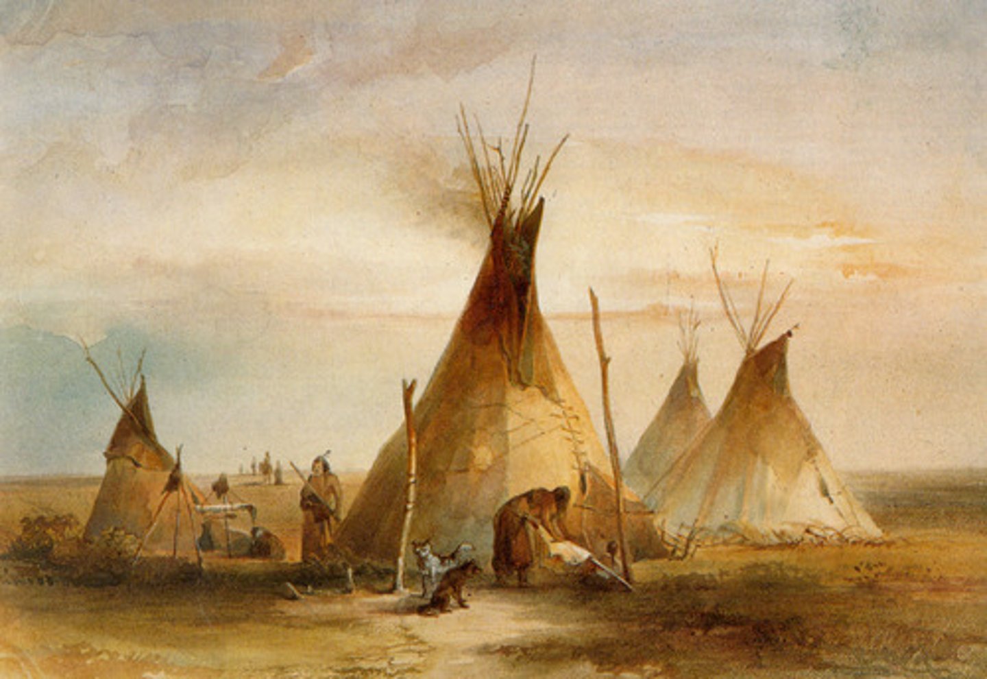 <p>These nomadic tribes, such as the Sioux, Blackfoot, Cheyenne, Crow, and Comanche, had given up farming in colonial times after the introduction of the horse by the Spanish. By the 1700s, they had become skillful horse riders and their lives centered on hunting buffalo. (p. 343)</p>