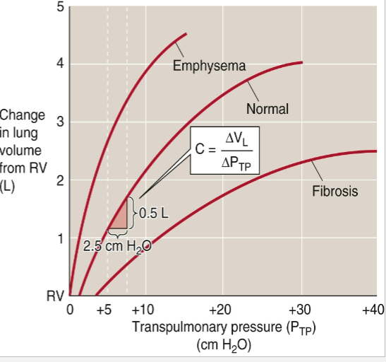 <p><span><span>Emphysema:</span></span></p><ul><li><p><span><span>Increased compliance</span></span></p></li><li><p><span><span>Destruction of elastic tissue</span></span></p></li></ul><div data-type="horizontalRule"><hr></div><p>Fibrosis:</p><ul><li><p><span><span>Reduced compliance</span></span></p></li><li><p><span><span>Increased deposition of fibrous tissue</span></span></p></li></ul><p></p>