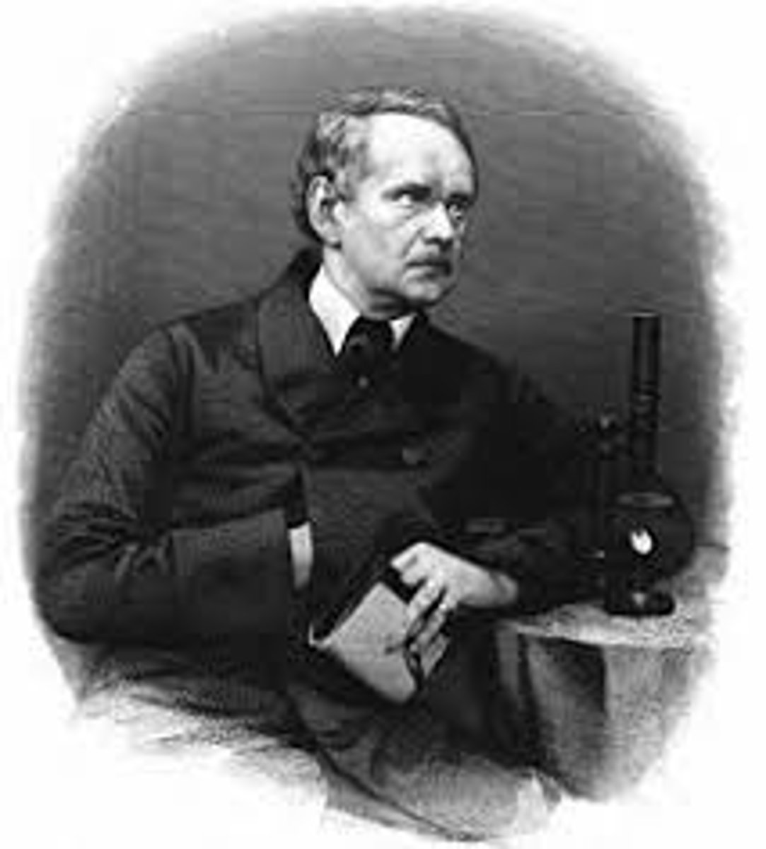 <p>German botanist; co-founder of the classical cell theory; coined the term "cytoblast"</p>