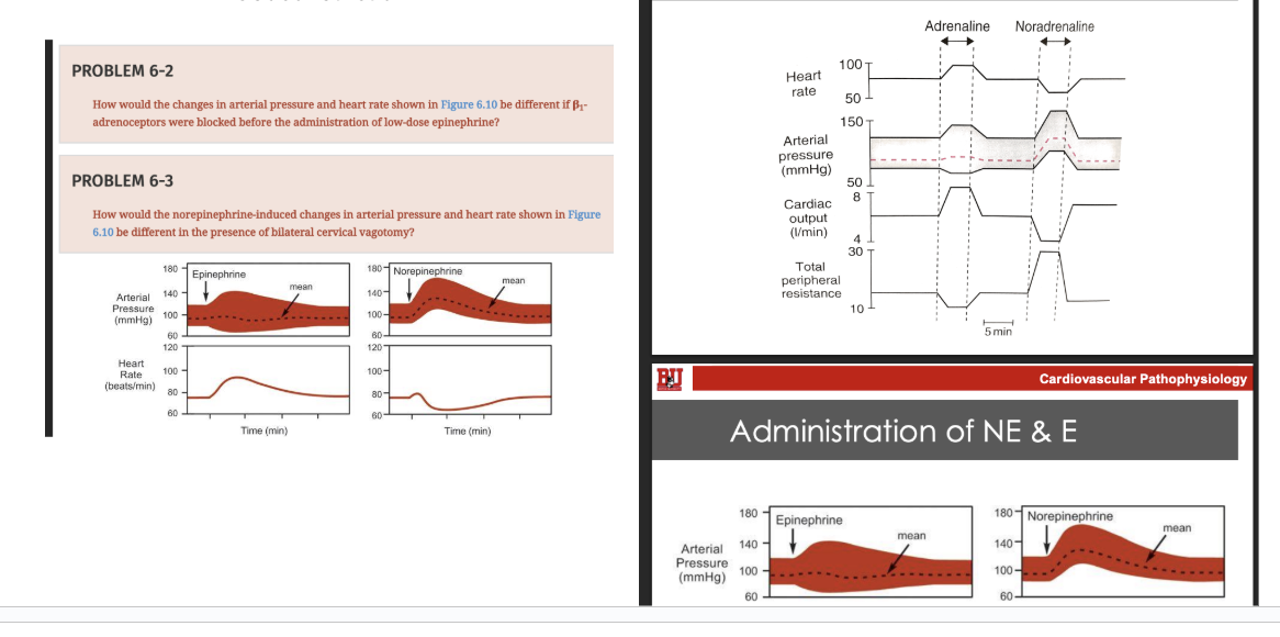 <p>figure this shit out</p>
