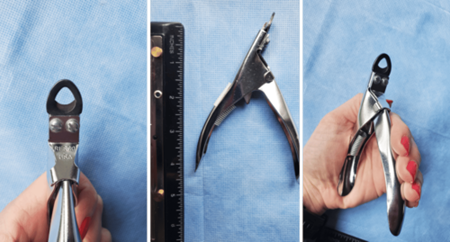 <p>To trim the toenails of small animals. common name Resco</p>