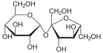 <p>contains alpha bond with a glucose and a fructose molecule</p>