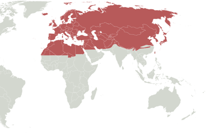 - Freshwater and terrestrial ecoregions
- Sahara and Arabian Deserts