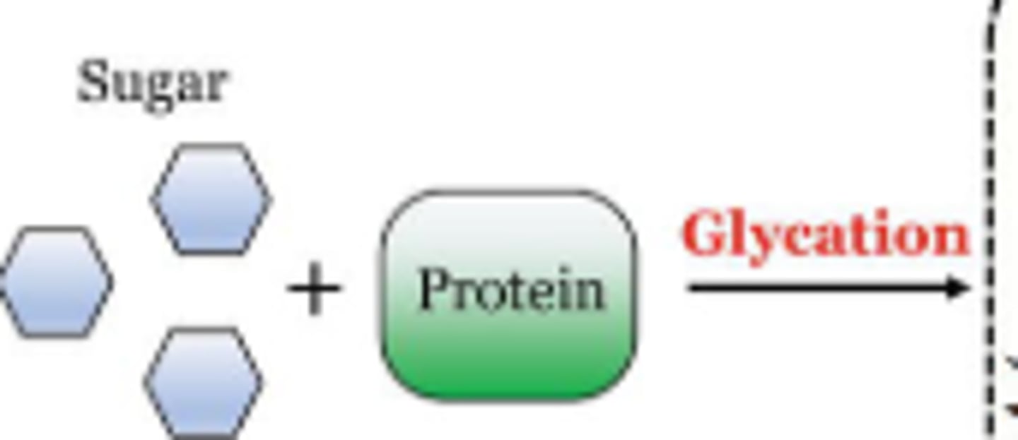 <p>nonenzymatic addition of a carb (such as a sugar molecule) to another molecule such as protein or lipid</p>