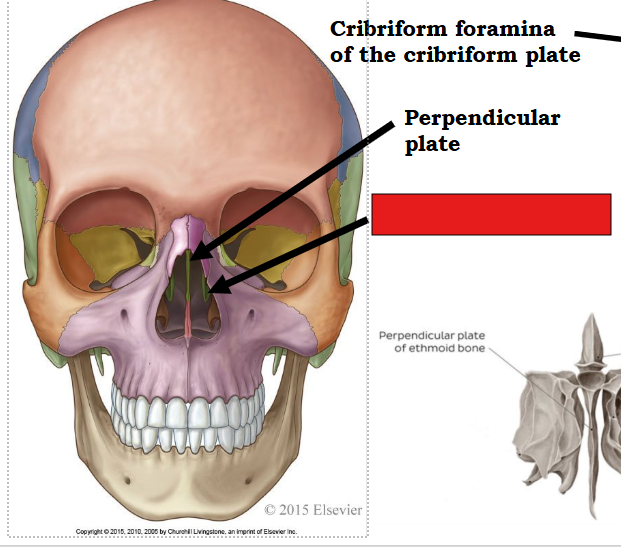 <p>fill in the red box:</p>