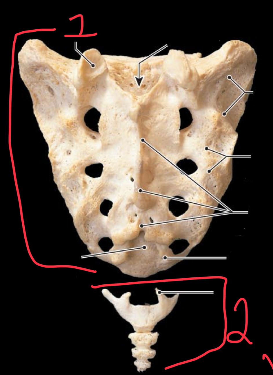 <p>Label 1 and 2</p>