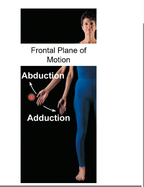 <p>Anterior-posterior (AP or “Anteroposterior”) axis goes with frontal plane of motion. Achieves abduction ( move away from midline/anatomical position) and adduction (adding that part to the body, returning it to anatomical position) of the shoulder or hip joint</p>