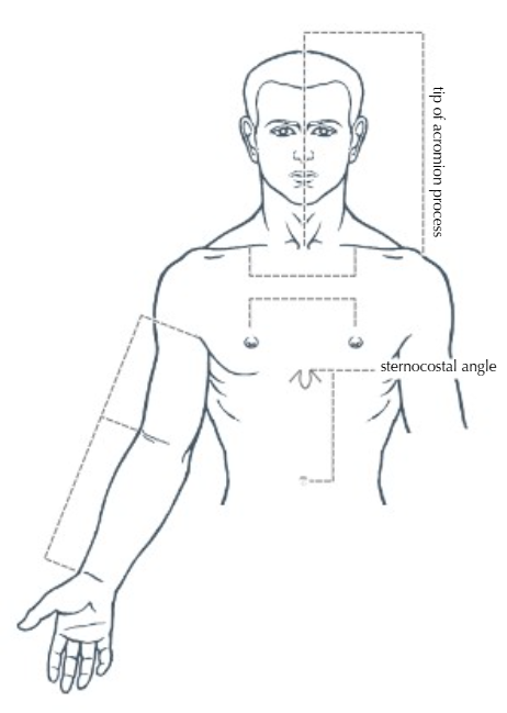 <p>The distance between the tip of the acromion process and the midline of the body is</p>