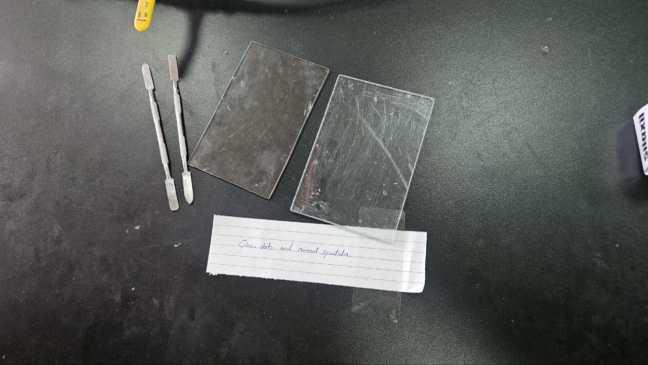 <p>Glass slab and cement spatula</p>