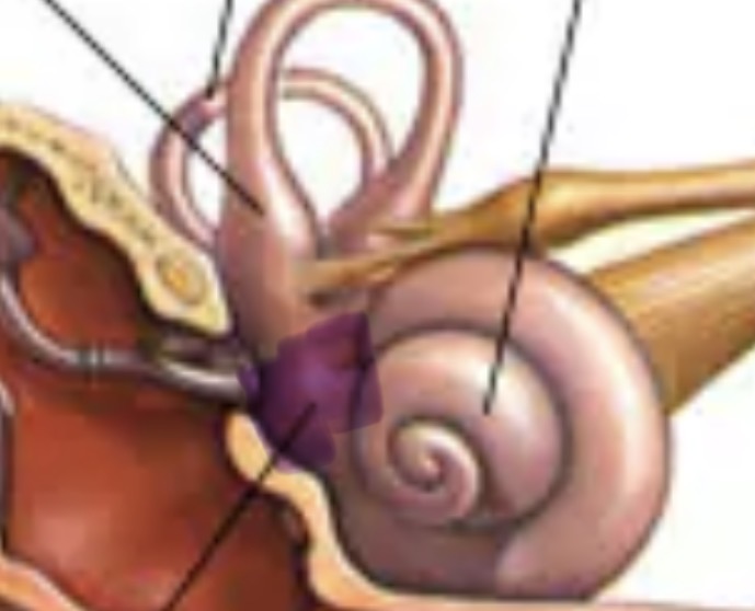 <p>What is this?</p>