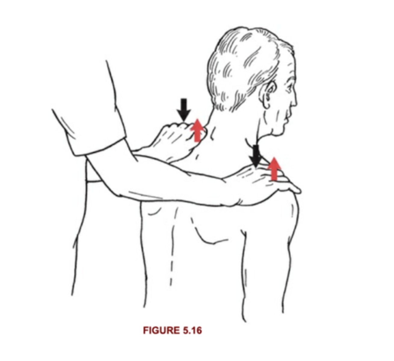 <p>5. Holds against max resistance</p><p>4. Holds against strong-moderate resistance</p>