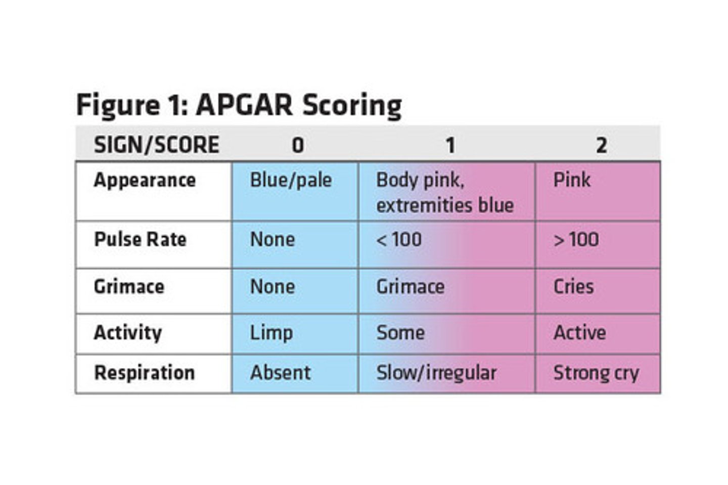 <p>- appearance (color)</p><p>- pulse (HR)</p><p>- grimace (reflex irritability)</p><p>- activity (muscle tone, movement)</p><p>- respiratory effort</p>