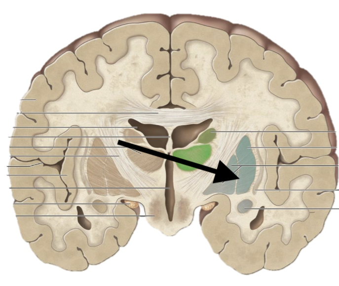 <p>Name the structure</p>