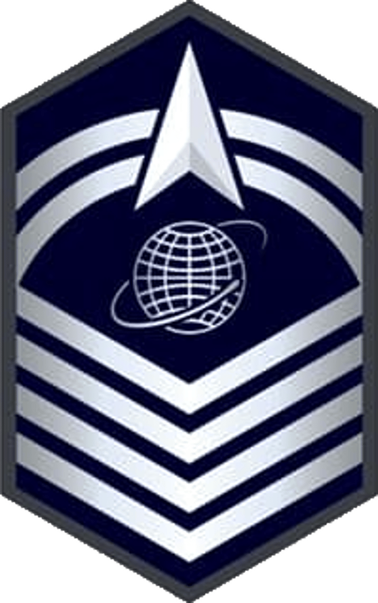 <p>Senior Master Sergeant</p>