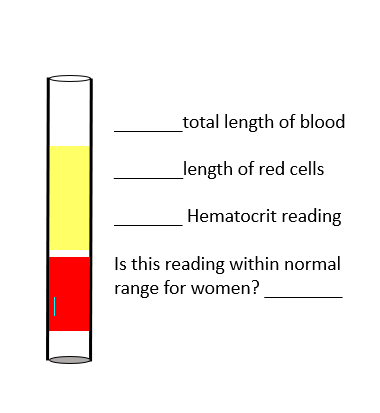 <ul><li><p><strong>Total length of blood:</strong> This is the full length of the column in the tube. From the image, it looks like the entire tube is your reference, so we can call it <strong>100%</strong> (or measure in mm if given).</p></li><li><p><strong>Length of red cells:</strong> The red portion at the bottom represents the packed red blood cells. Visually, it looks like about <strong>40%</strong> of the total blood length.</p></li><li><p><strong>Hematocrit reading:</strong> Hematocrit is the percentage of red blood cells in total blood. From the image, <strong>Hematocrit = 40%</strong>.</p></li><li><p><strong>Is this within normal range for women?</strong> Normal hematocrit range for women is roughly <strong>36–48%</strong>, so <strong>yes</strong>, 40% is within normal range.</p></li></ul><p></p>