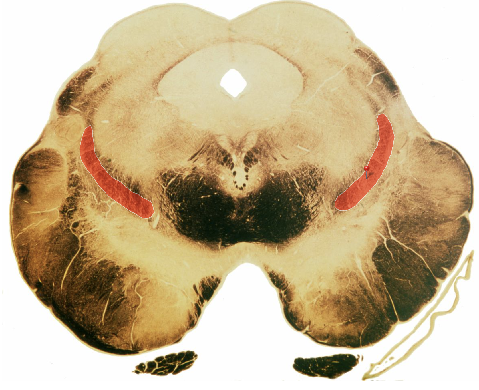 <p>What is this?</p>
