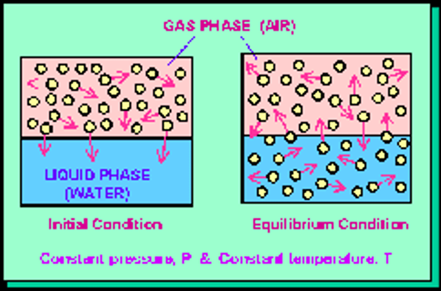 <p>A system in which things become equal; all particles (molecules or matter) become equal</p>