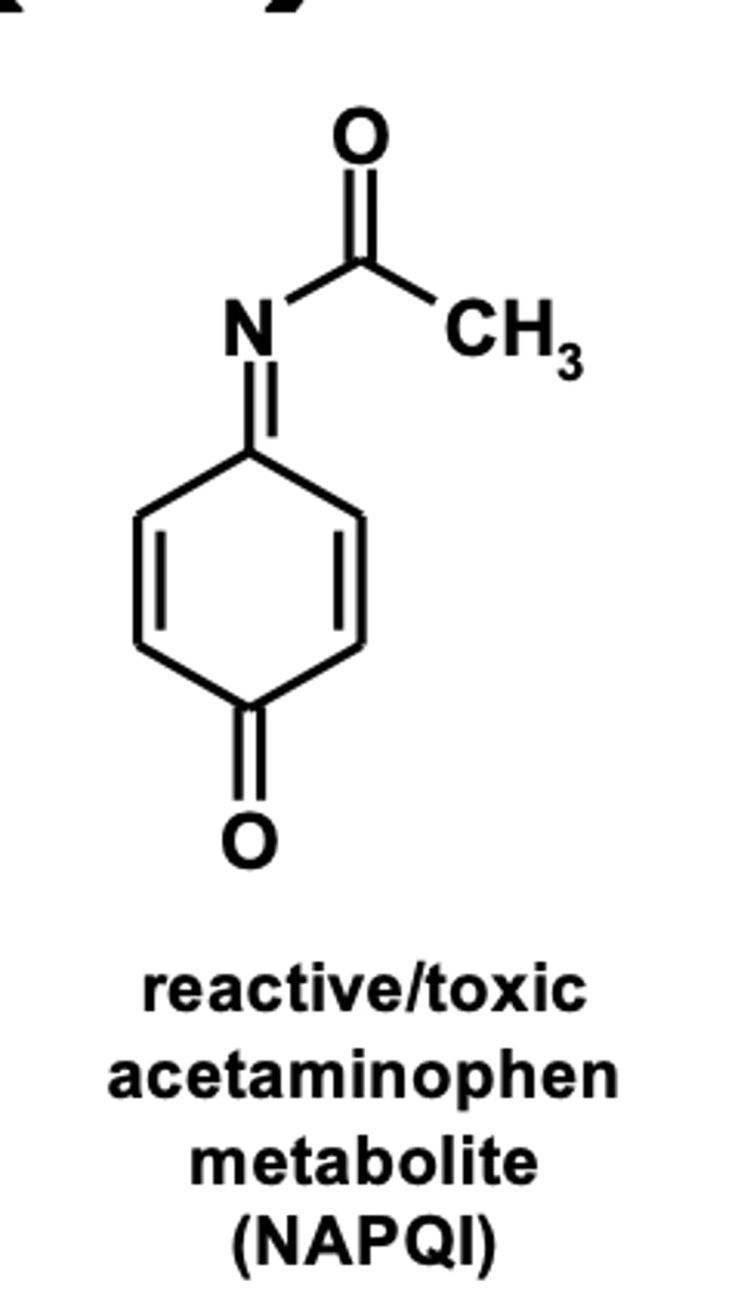 <p><strong>reactive/toxic electrophilic species</strong> </p><p>(ex: formation of benzoiminoquinone reactive metabolite (NAPQI ) in acetaminophen metabolism) </p>
