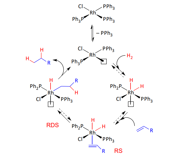 <p>Explain this kinetic pathway of a Wilkinson’s catalyst</p>