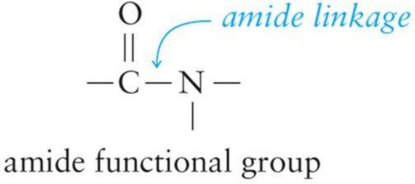 <p>Carbonyl carbon-nitrogen single bond in amides.</p>