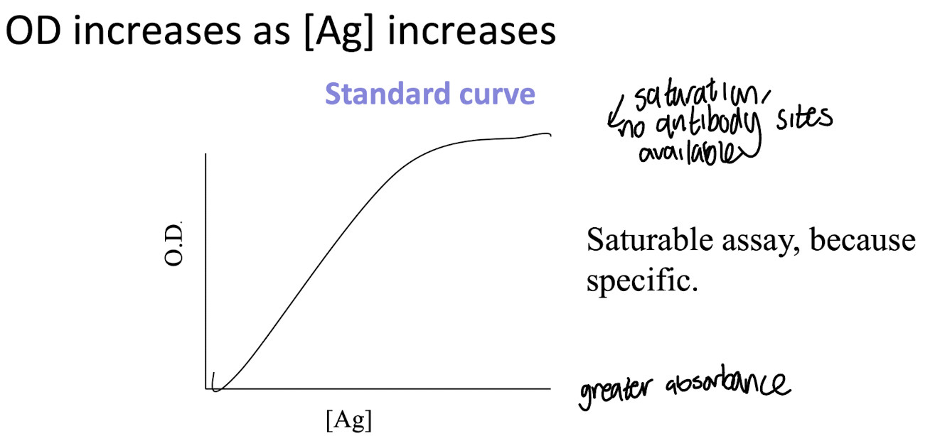 <p><strong>It allows quantitative determination of unknown antigen concentrations based on absorbance readings.</strong></p>
