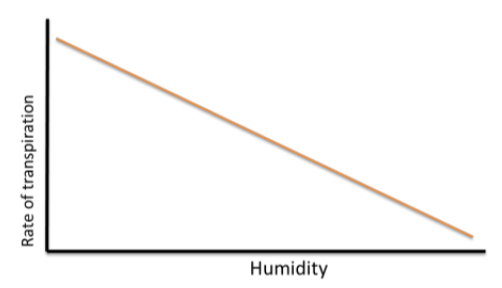 <p>how is the rate of transpiration affected by humidity</p>