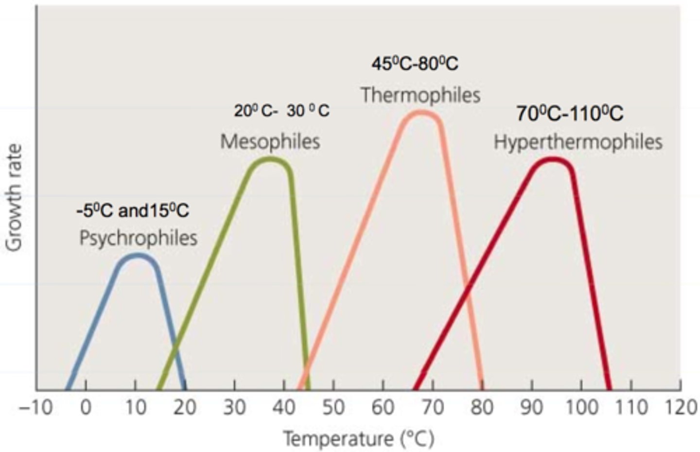 <p>Psychrophiles</p>