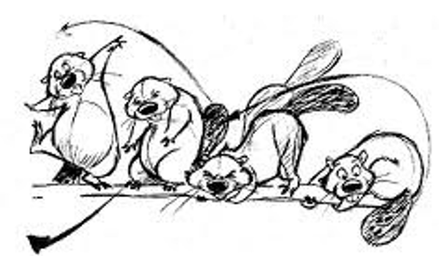 <p>Involves drawing a few key frames for each action follow by filling im the intervals.</p>