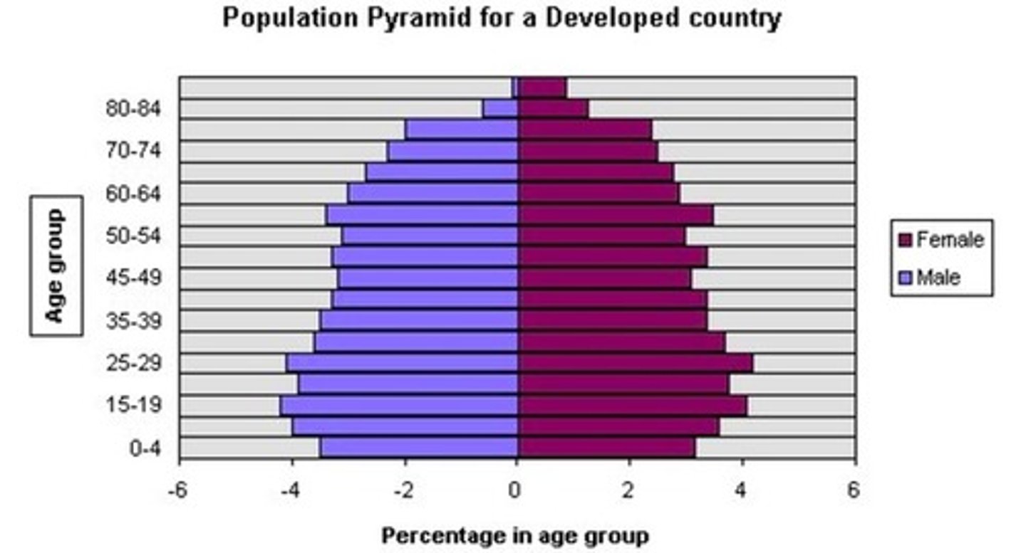 <p>Countries with highly developed economies, industrialization, urbanization, advanced technological infrastructure, and high standards of living. Stages 4/5 DTM</p>
