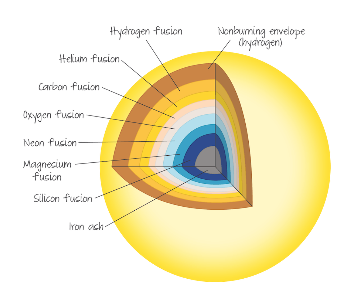 <p>The creation of nuclei of heavier elements by fusion</p><p>In general the contraction of the corse of main sequence stars of greater mass will result in higher temperatures, which means that the nuclei then have higher kinetic energies, so that they can overcome the larger electric repulsive forces involved in the fusion of heavier elements</p>