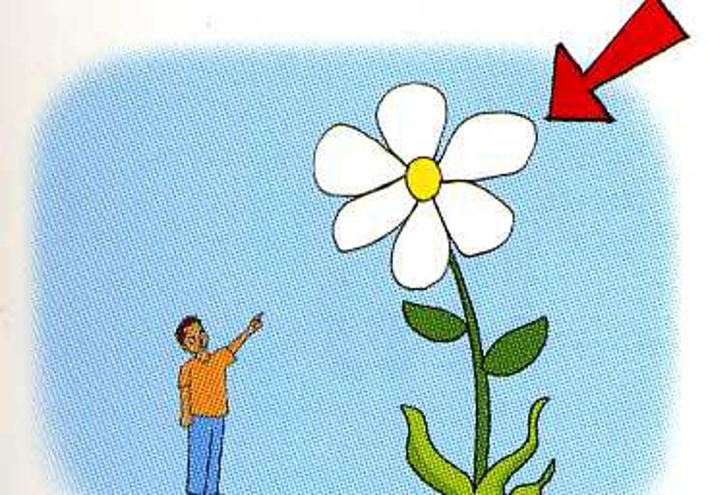 <p>(adj): khổng lồ</p>