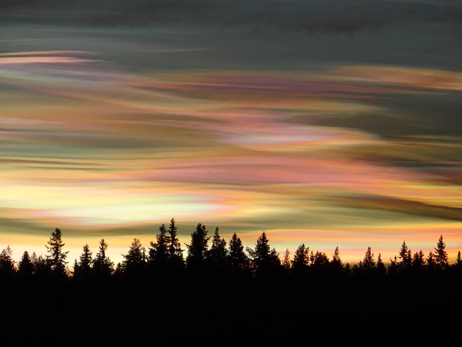 <p>thin, wispy, very high, during sunset</p>