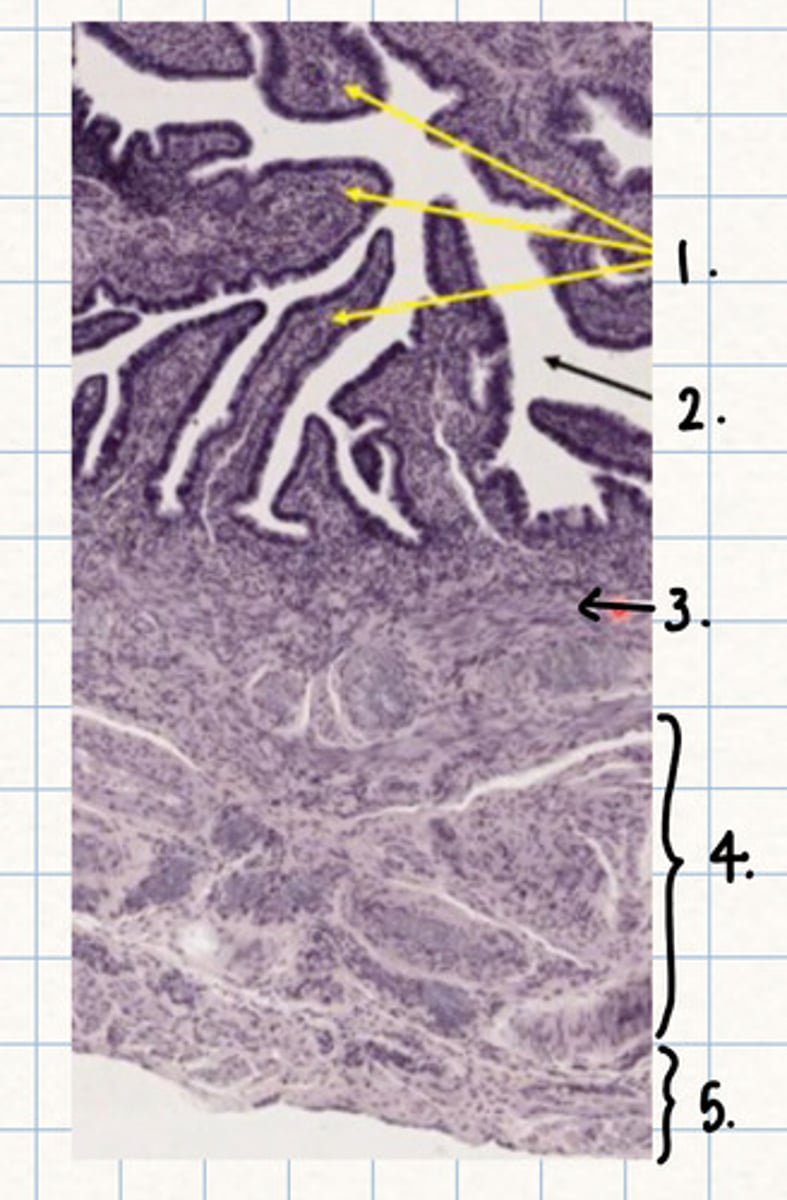 <p>3</p>